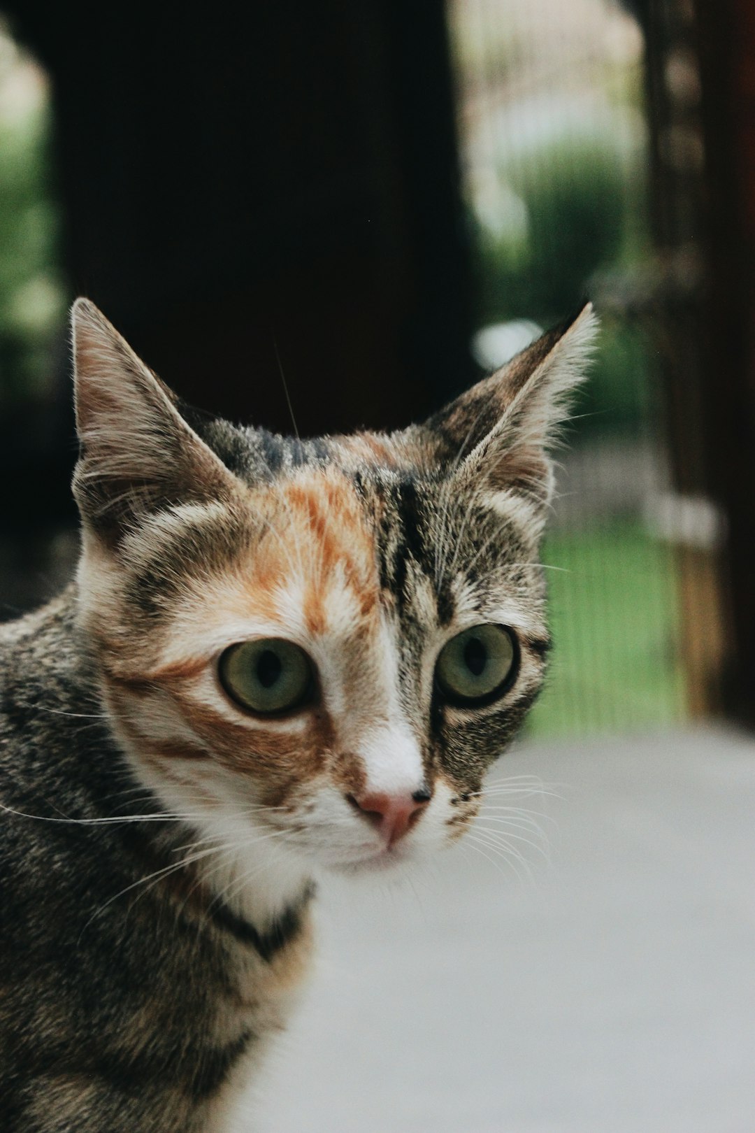 Conclusion (crédits image : unsplash)