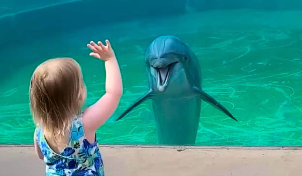 petite fille, murmure des dauphins