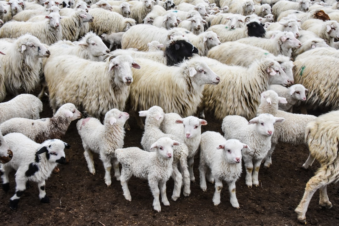 Conclusion (crédits image : unsplash)