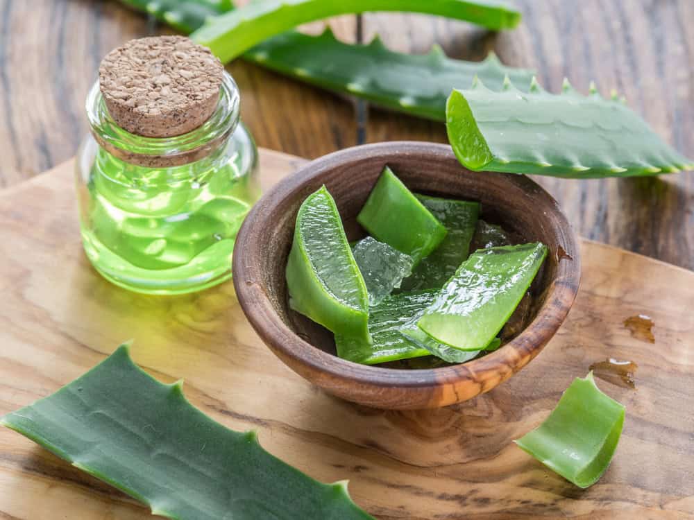 Gel d'aloe vera.