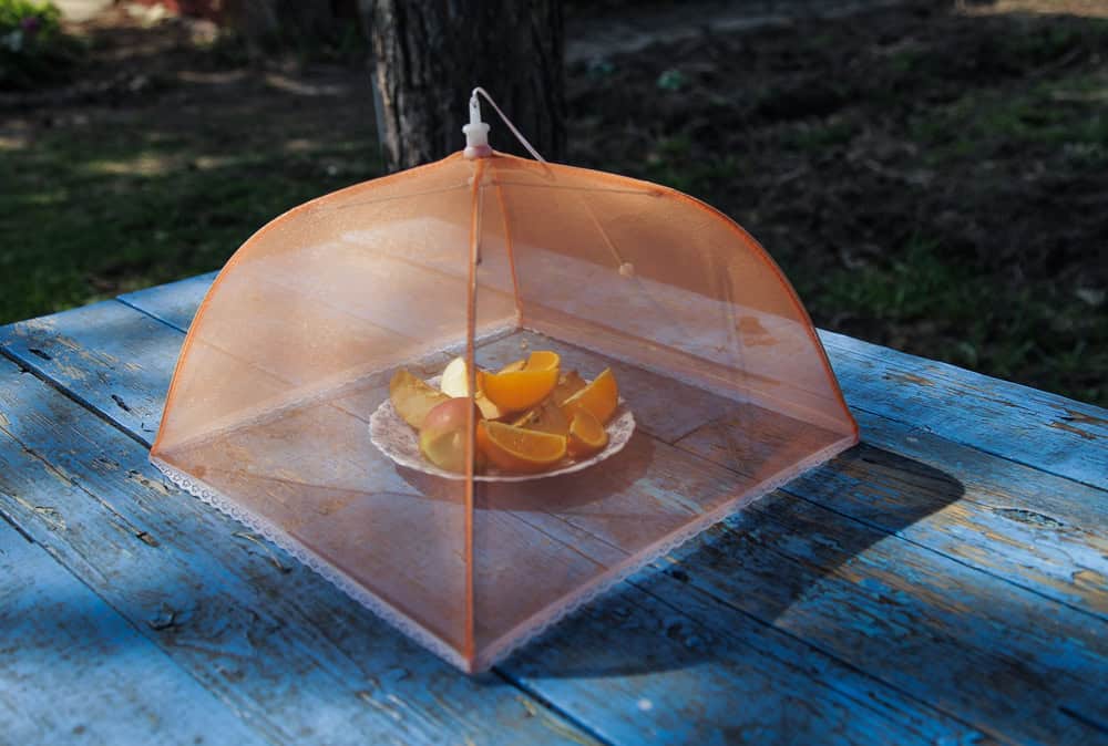 Moustiquaire pour fruits