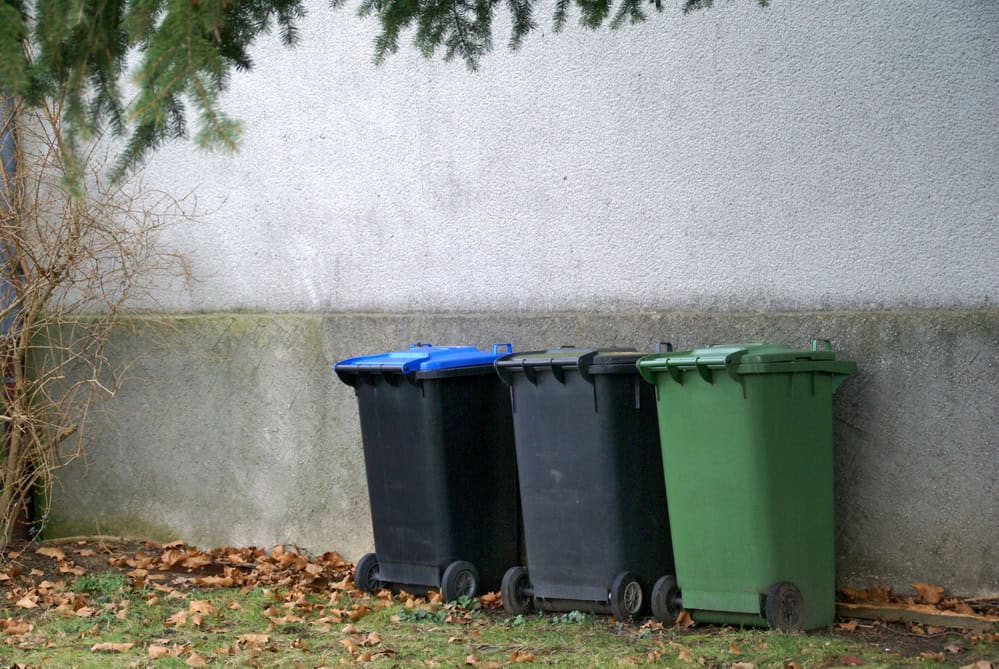 Poubelles fermées dans la cour.