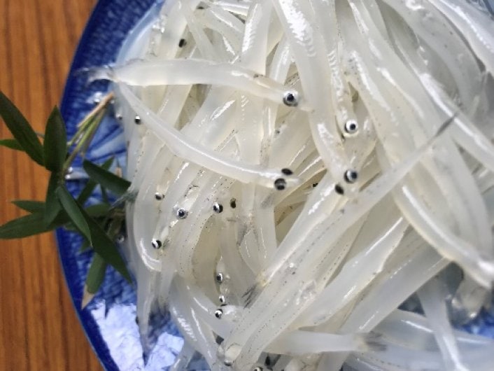 Poisson des glaces