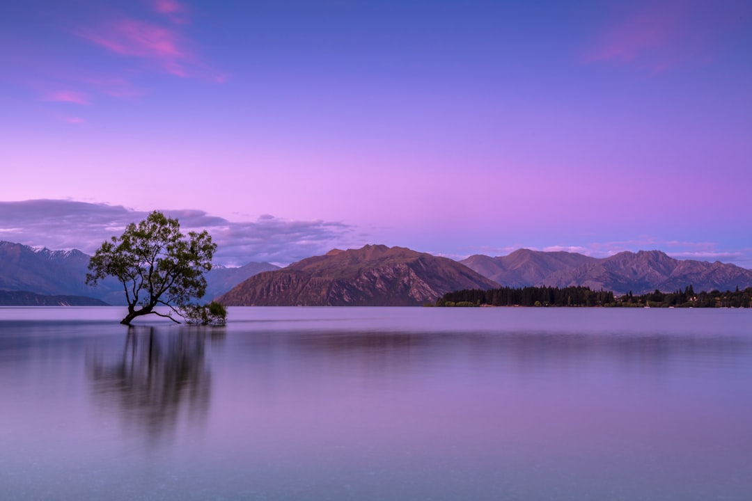 8. Les chutes de neige fulgurantes de Silver Lake (crédits image : unsplash)