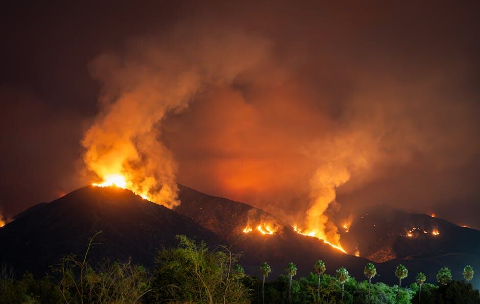 10. Les incendies de forêt flamboyants de Californie (crédits image : pexels)