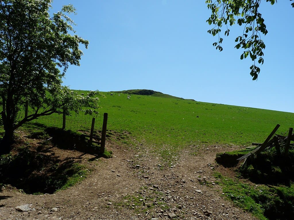 Colline Dow