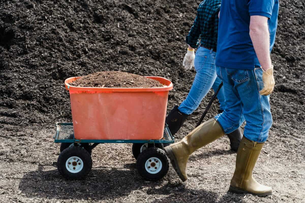 Deux personnes transportant de la terre avec un chariot dans un milieu agricole.