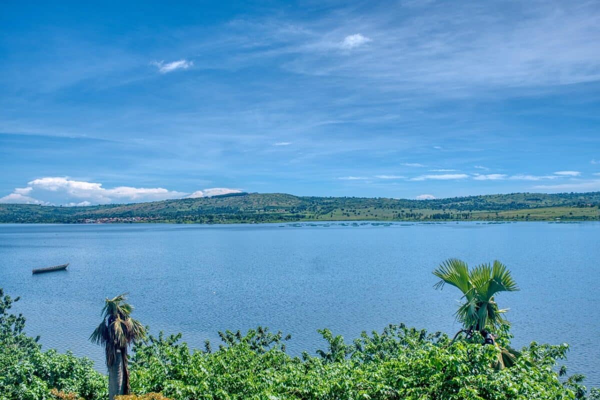 Victoria Nile : la merveille naturelle de l'Ouganda