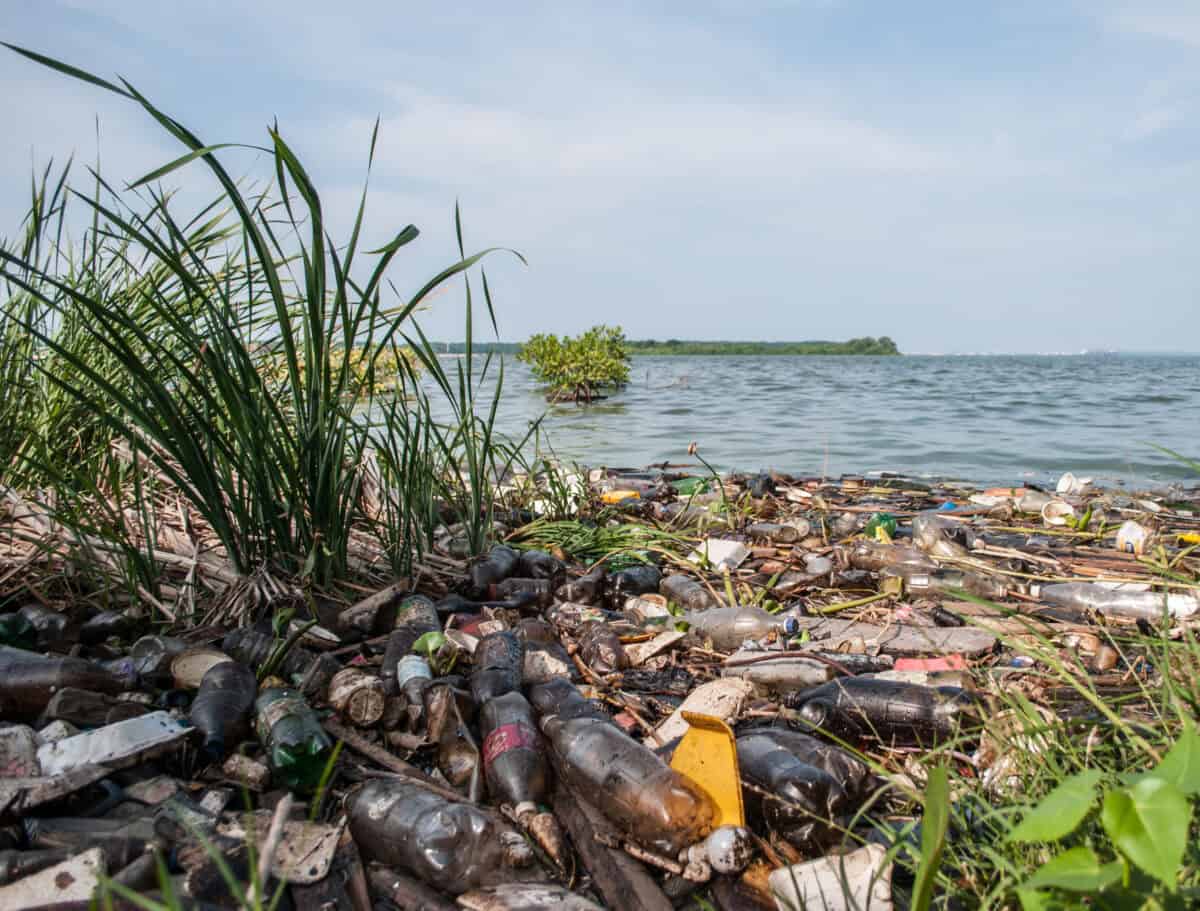 Lac Maracaibo, Venezuela