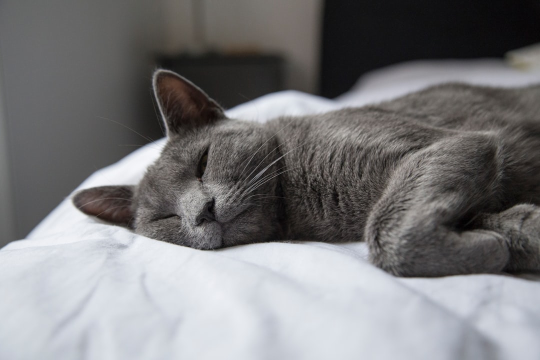 15. Bleu Russe (crédits image : unsplash)