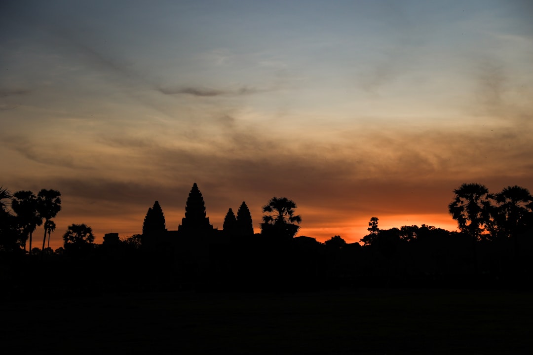 Angkor Wat : les arbres comme gardiens (crédits image : unsplash)