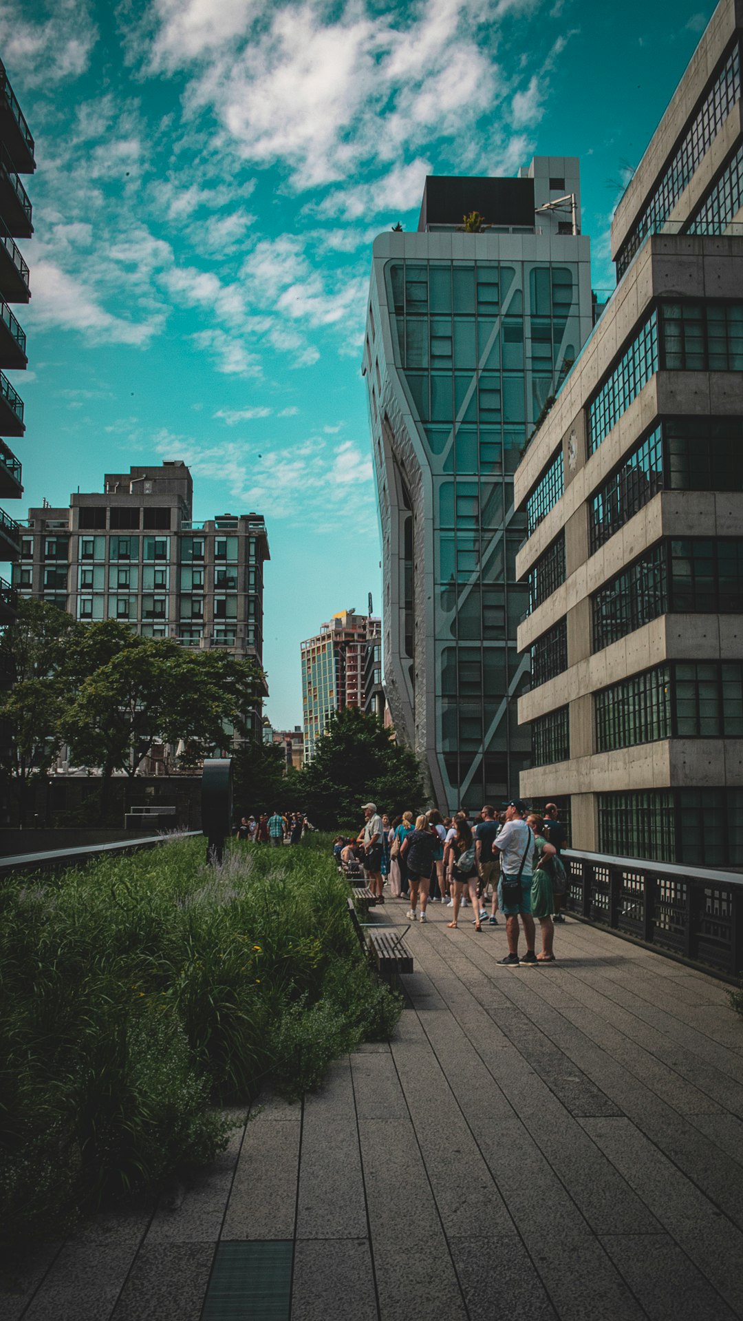 La High Line de New York : un renouveau vert (crédits image : unsplash)