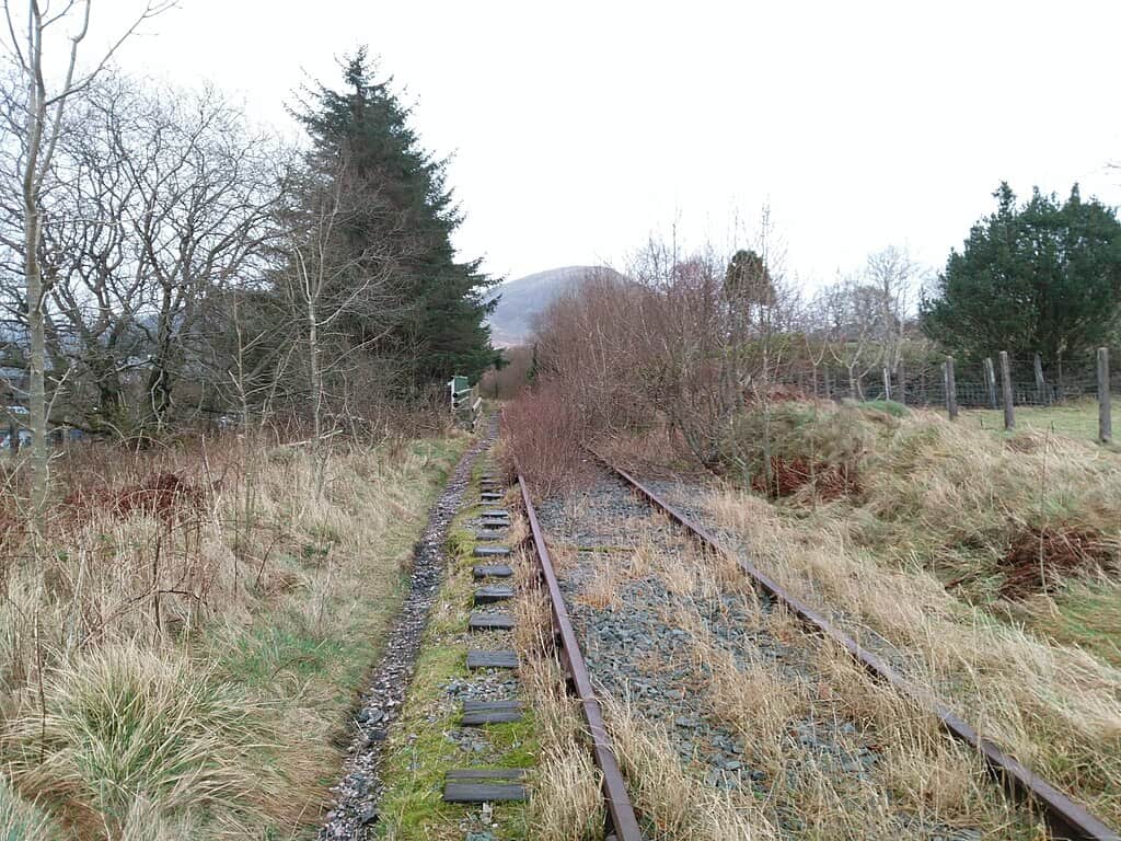 Chemin de fer envahi par la végétation 