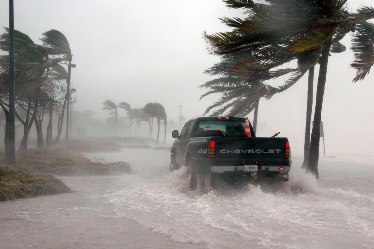 key west, floride, ouragan, ouragan dennis, météo, onde de tempête, orageux, vent, dangereux, un camion, eau, mer, océan, palmiers, à l'extérieur, inondé, jour de la terre, nature, ouragan, ouragan, ouragan, ouragan