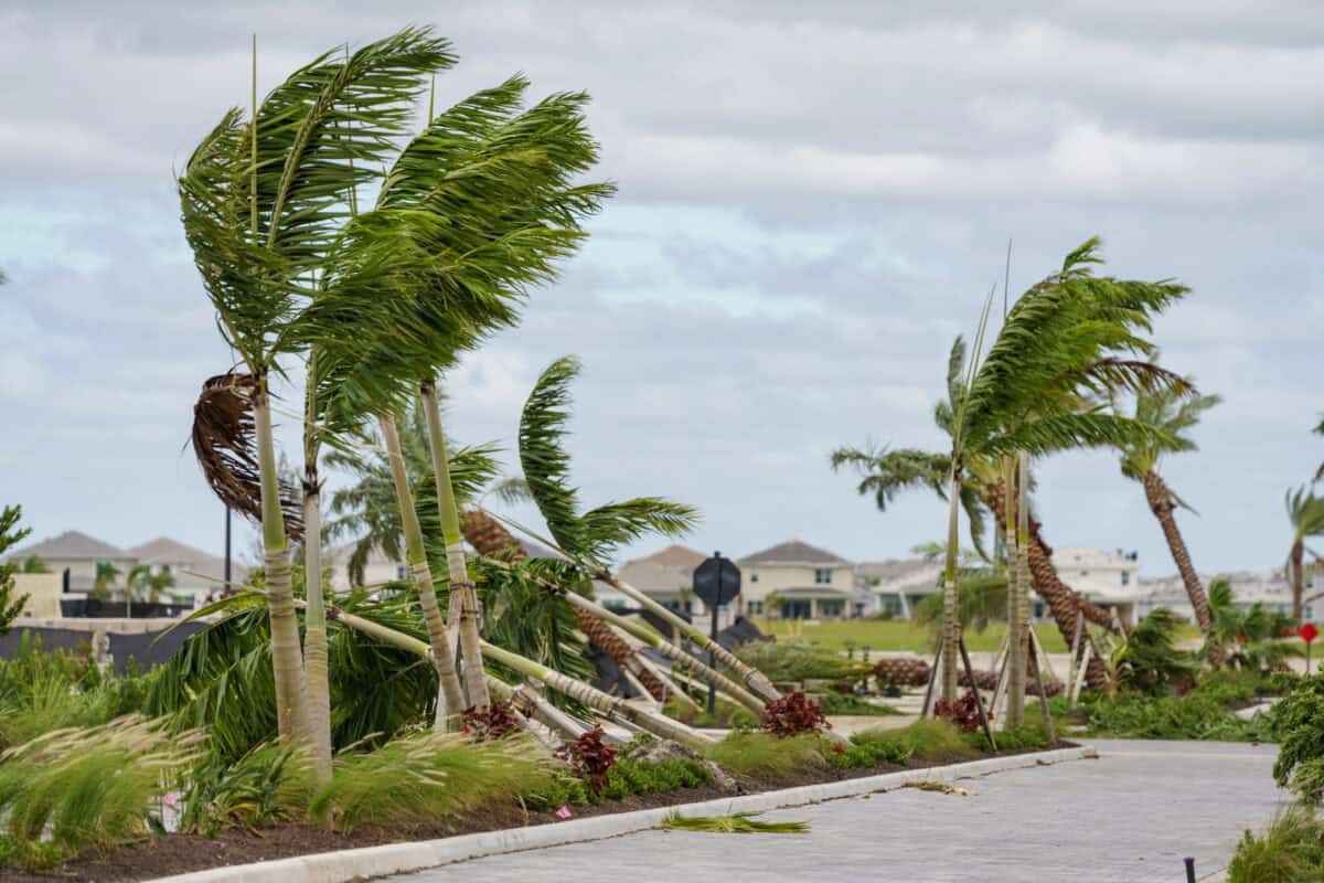 L'ouragan Milton. Image de felixtm via Depositphotos.