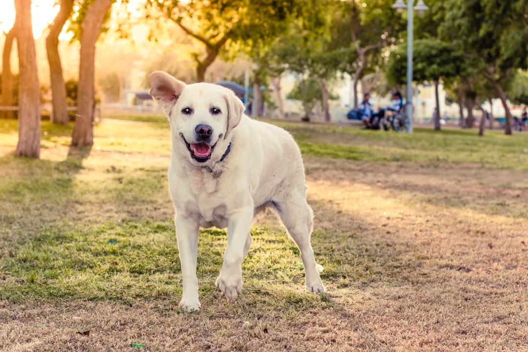 7. Essayer de vous plaire (crédits image : unsplash)