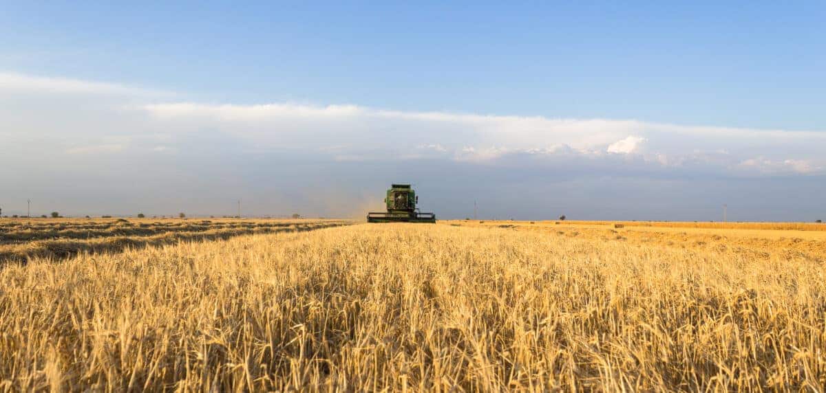agriculture.