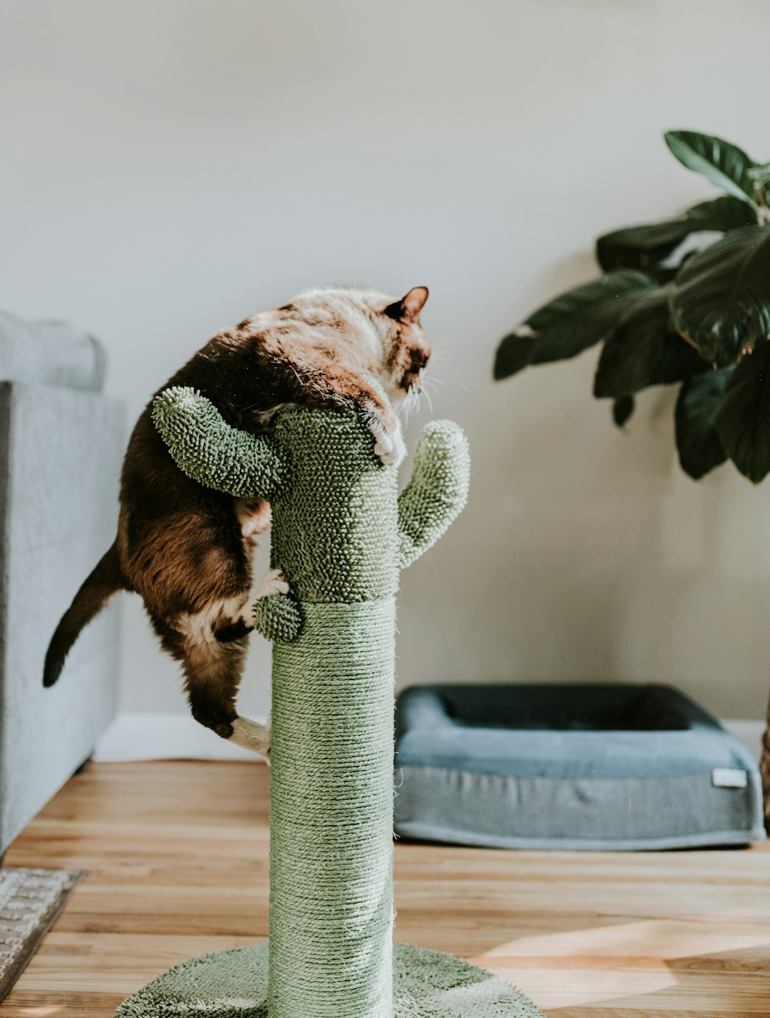 7. Grimper vers de nouveaux sommets (crédits image : unsplash)