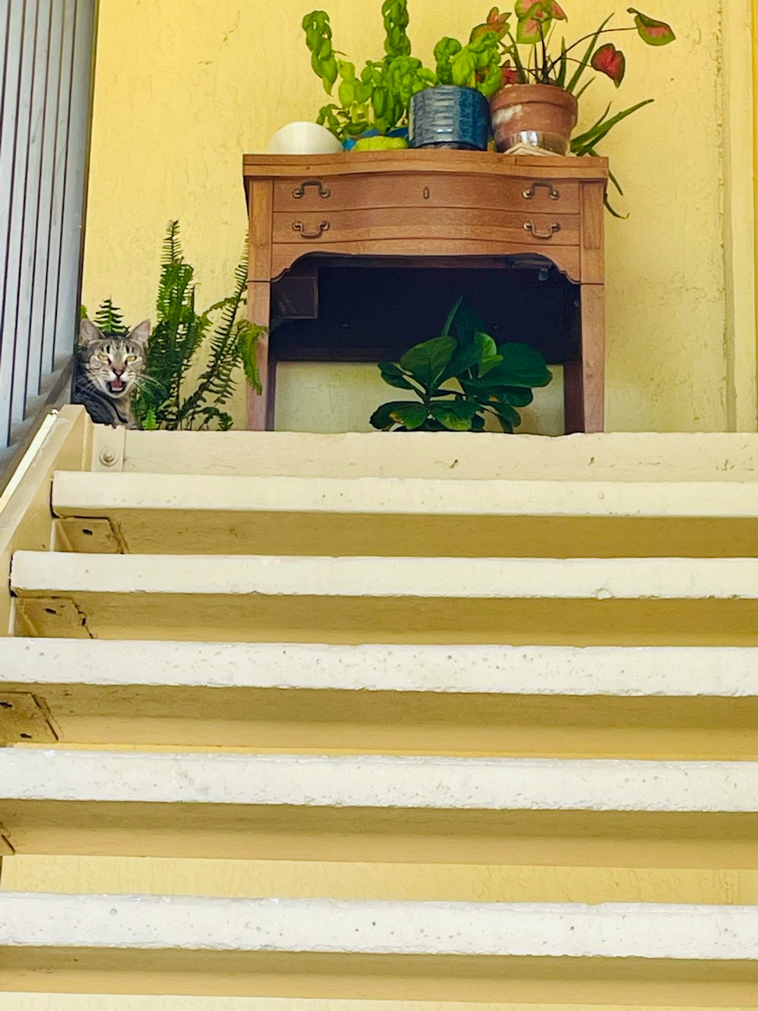 8. Monter et descendre les escaliers (crédits image : unsplash)