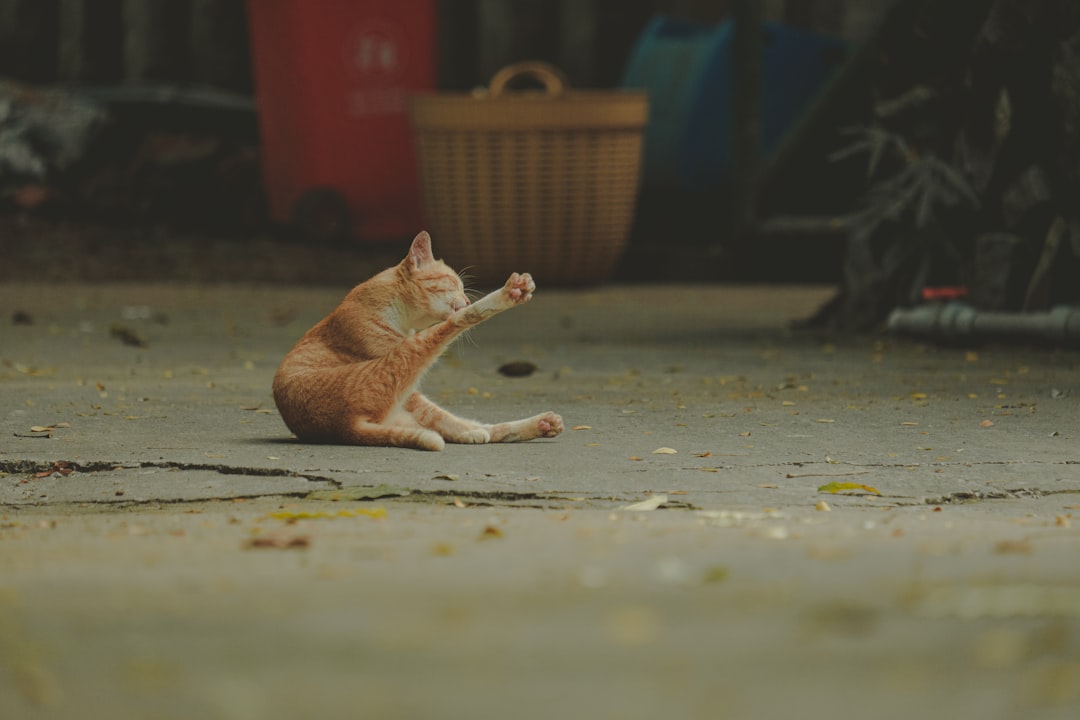 3. Faire tomber des objets des tables (crédits image : unsplash)