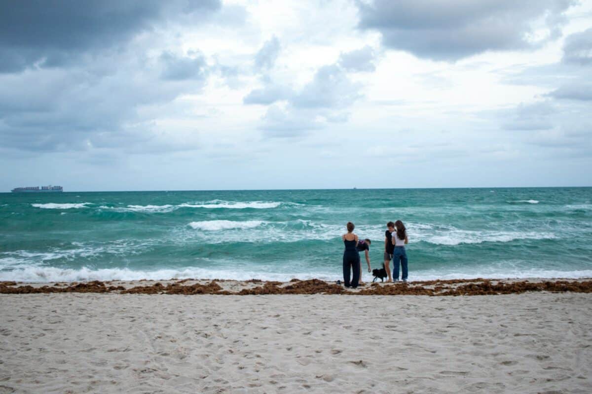 Un groupe de personnes debout au sommet d’une plage de sable
