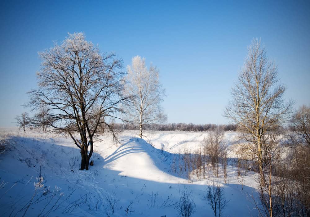 Temps de neige sec en hiver