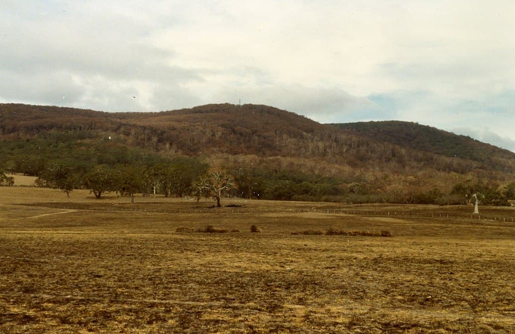 Paddocks et brousse incendiés au mont Macedon après les feux de brousse du mercredi des Cendres en 1983