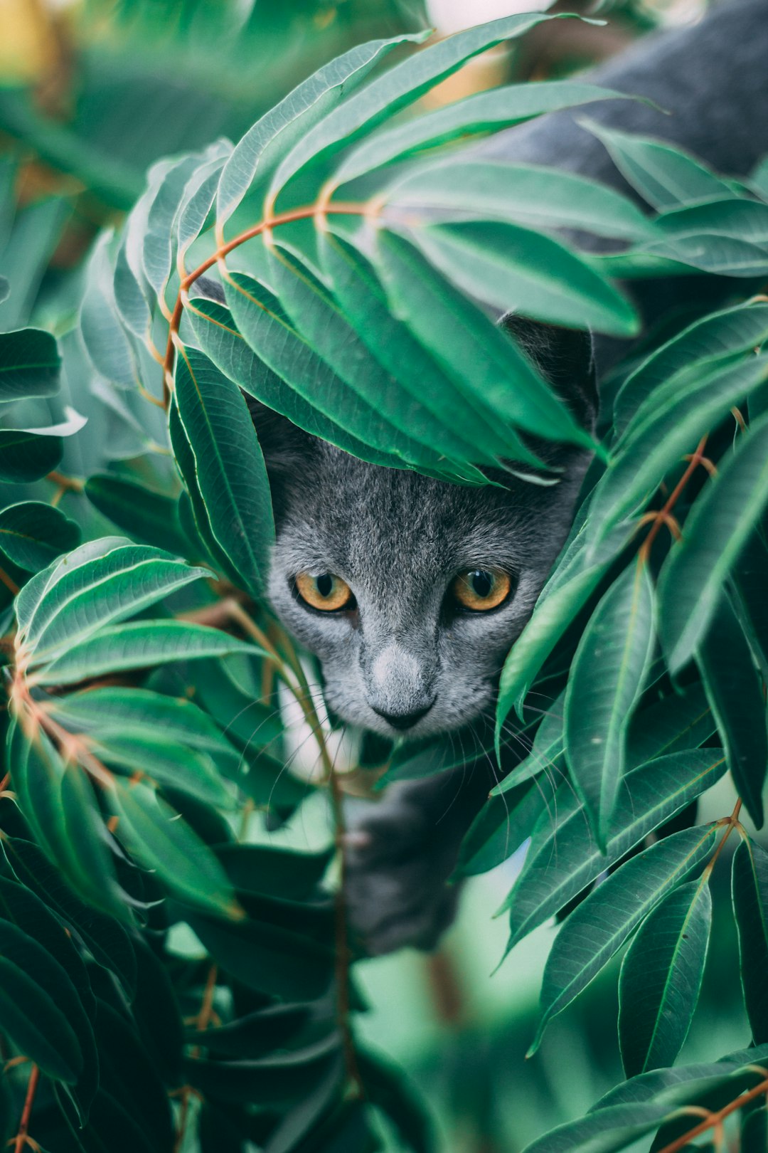 1 chasse au trésor (crédits image : unsplash)