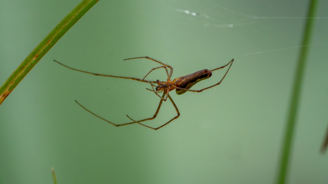 14 Réduire la propagation des maladies (crédits image : unsplash)