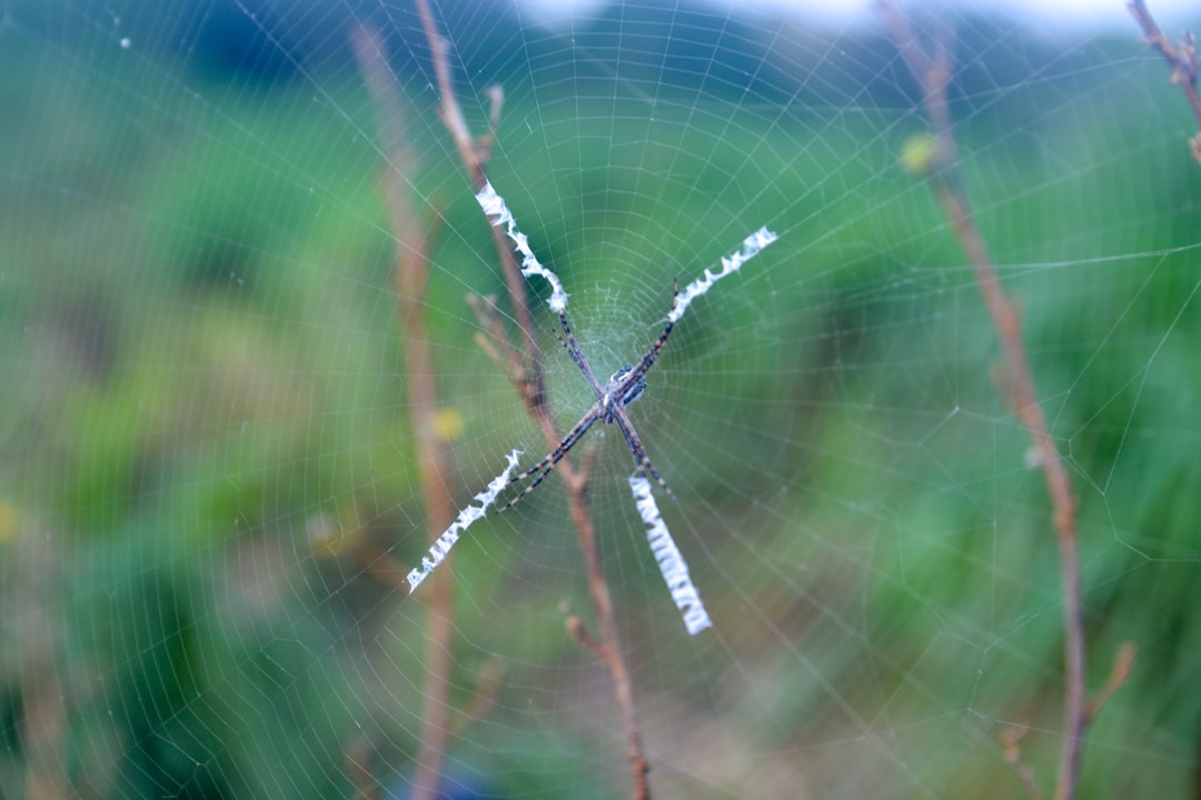 11 Réduire vos besoins en pulvérisations chimiques (crédits image : unsplash)