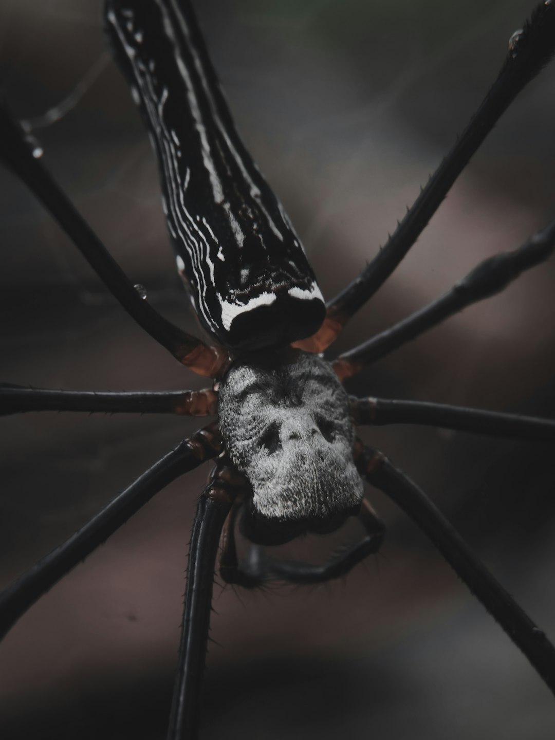 3Donnez-nous des merveilles médicales (crédits image : unsplash)