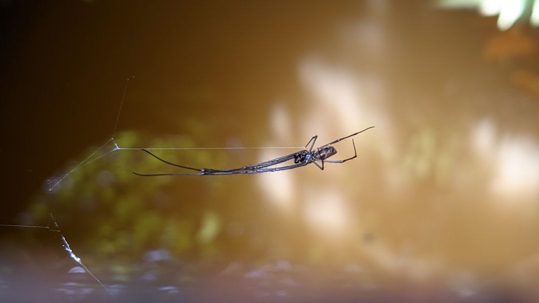 5 signes avant-coureurs d'un changement environnemental (crédits image : unsplash)