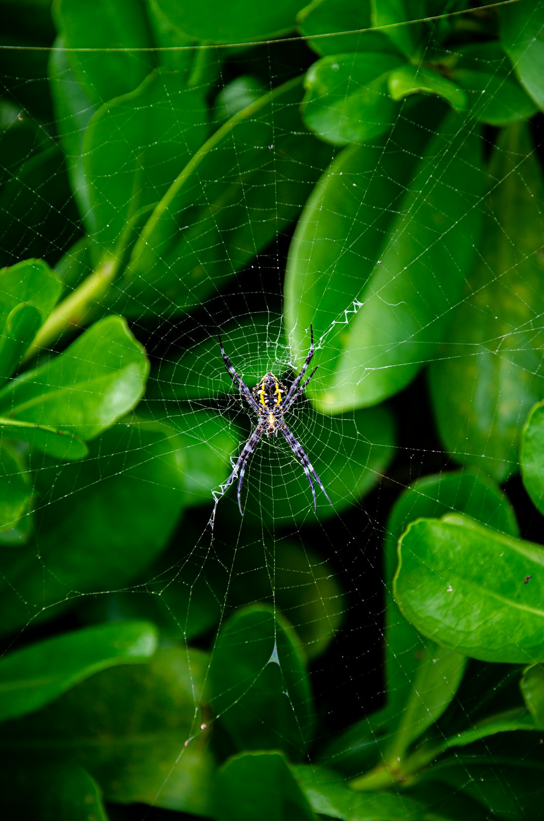 1 Encourager la pleine conscience et le respect de toutes les créatures (crédits image : unsplash)