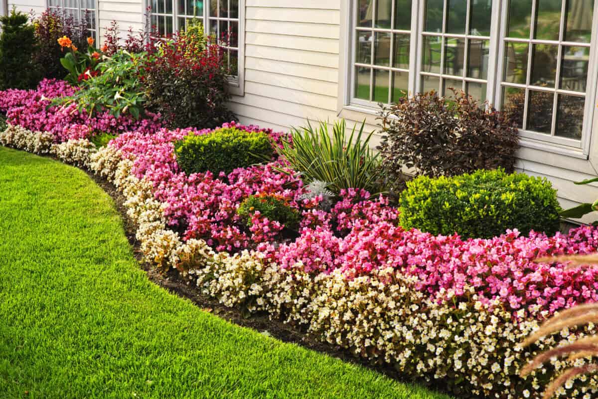 Un jardin fleuri et coloré