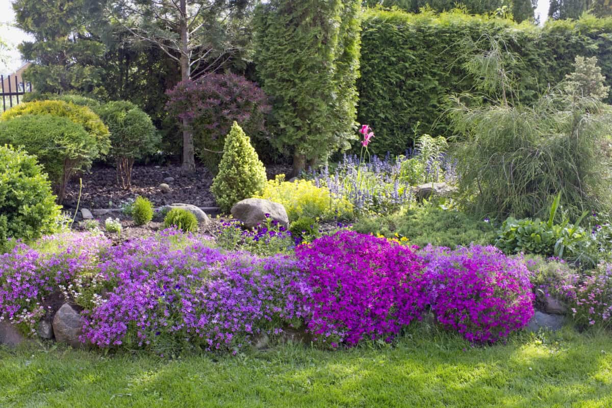 Un magnifique paysage de jardin