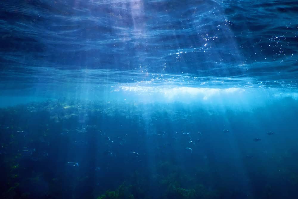 Mer profonde.