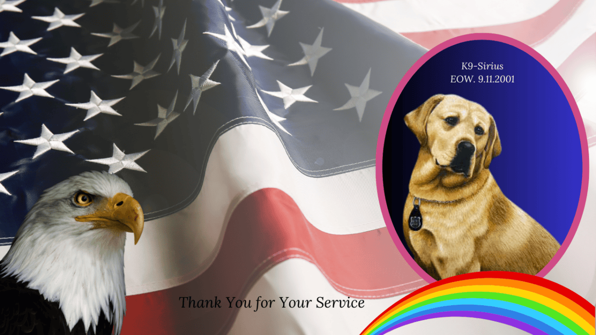 Sirius K9 EOW 9.11.2001
