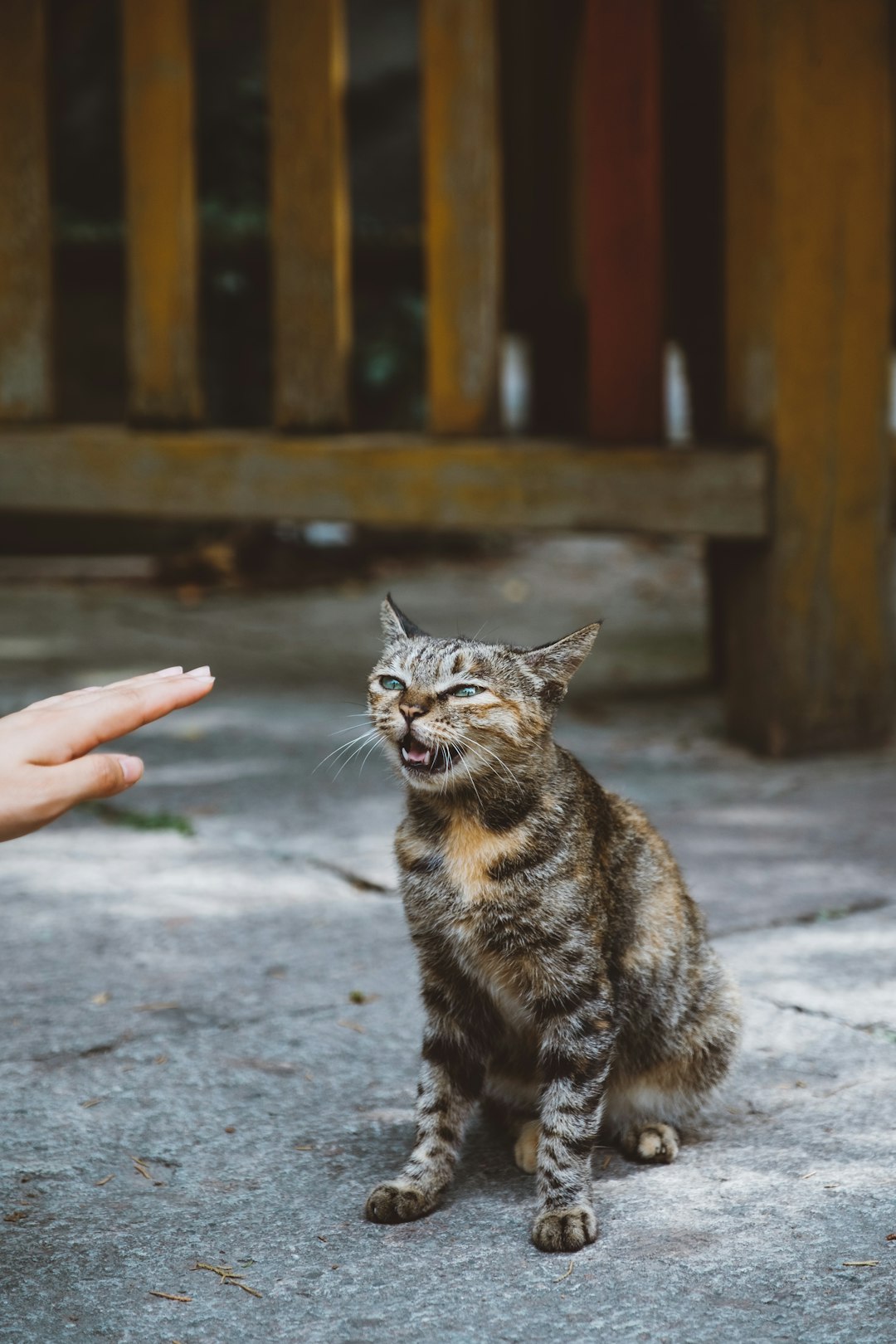 6 Communication transparente et honnête (crédits image : unsplash)