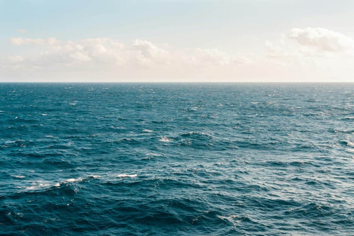 Vue tranquille sur l'océan sous un ciel clair, capturant la beauté sereine de l'eau expansive.