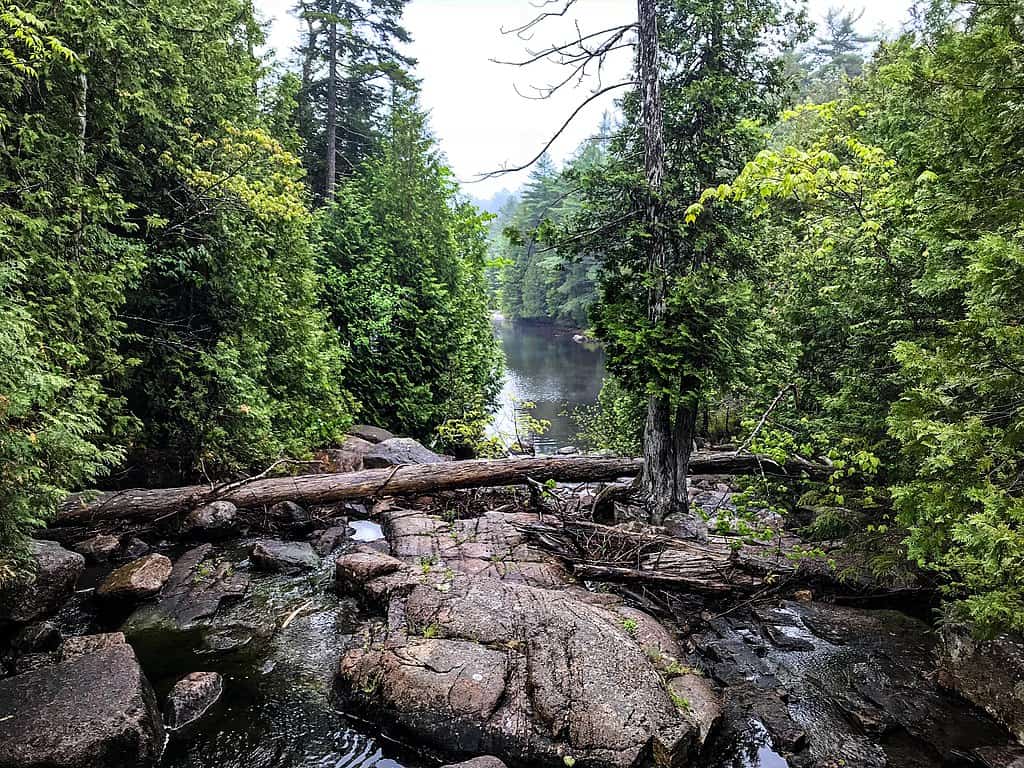 Parc national d'Acadia, Maine