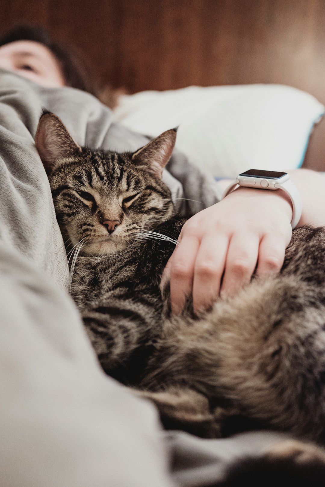5. Pâte à levure (crédits image : unsplash)