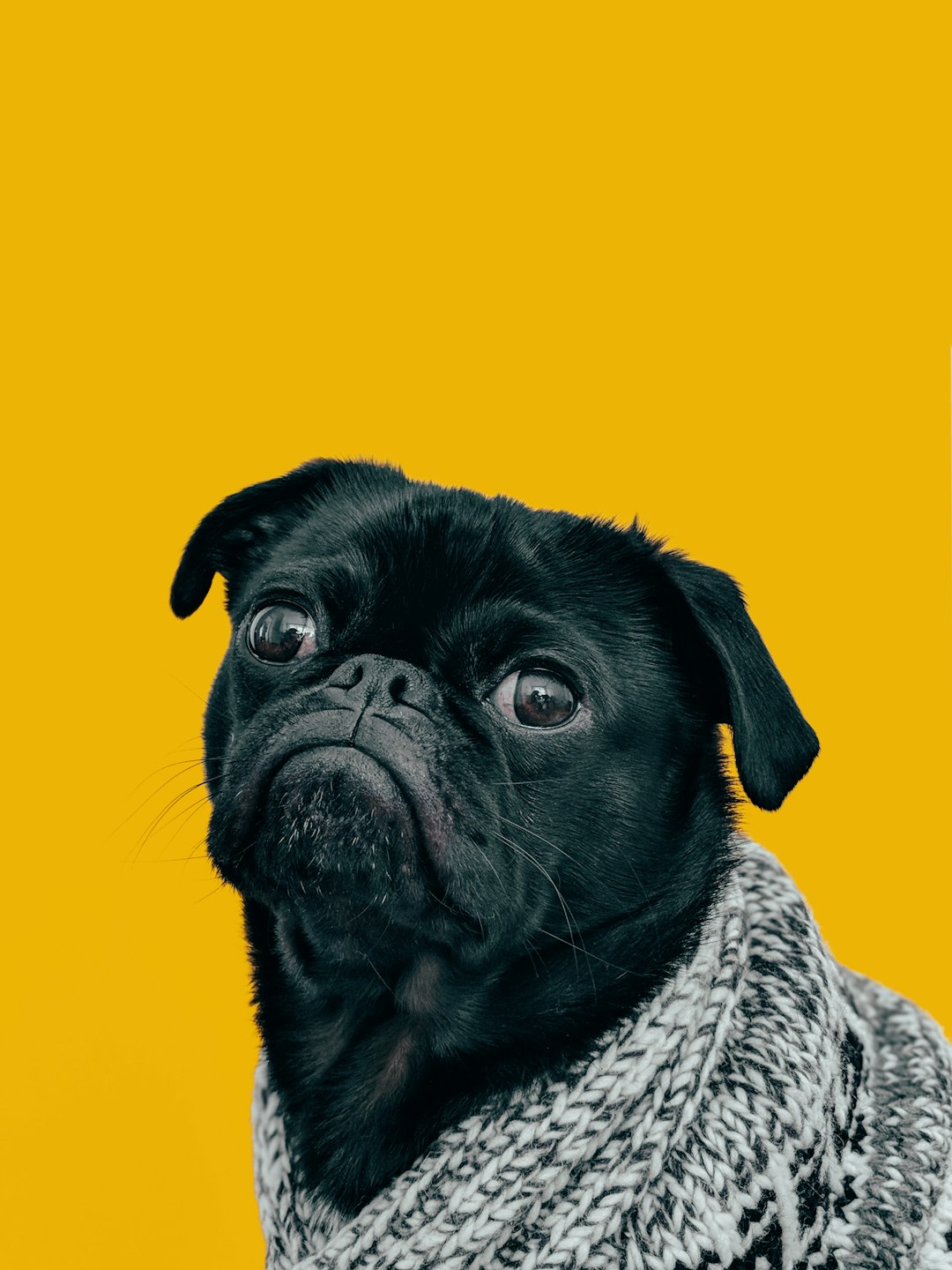 7. Caféine (crédits image : unsplash)