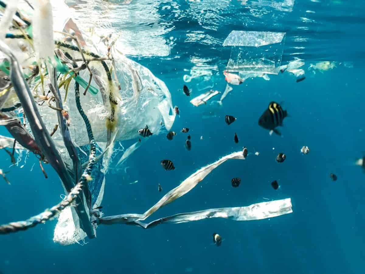 pollution plastique dans l'océan