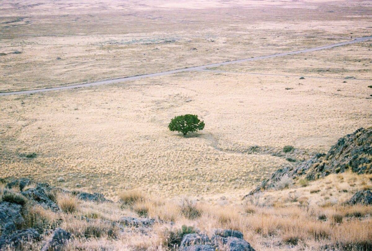 désert, terre aride, paysage, sécheresse, campagne, la nature, utah, etats-unis, désert, sécheresse, sécheresse, sécheresse, sécheresse
