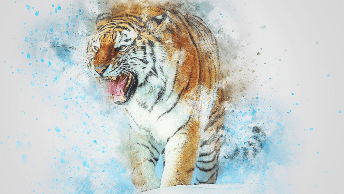 Agression animale esprit tigre