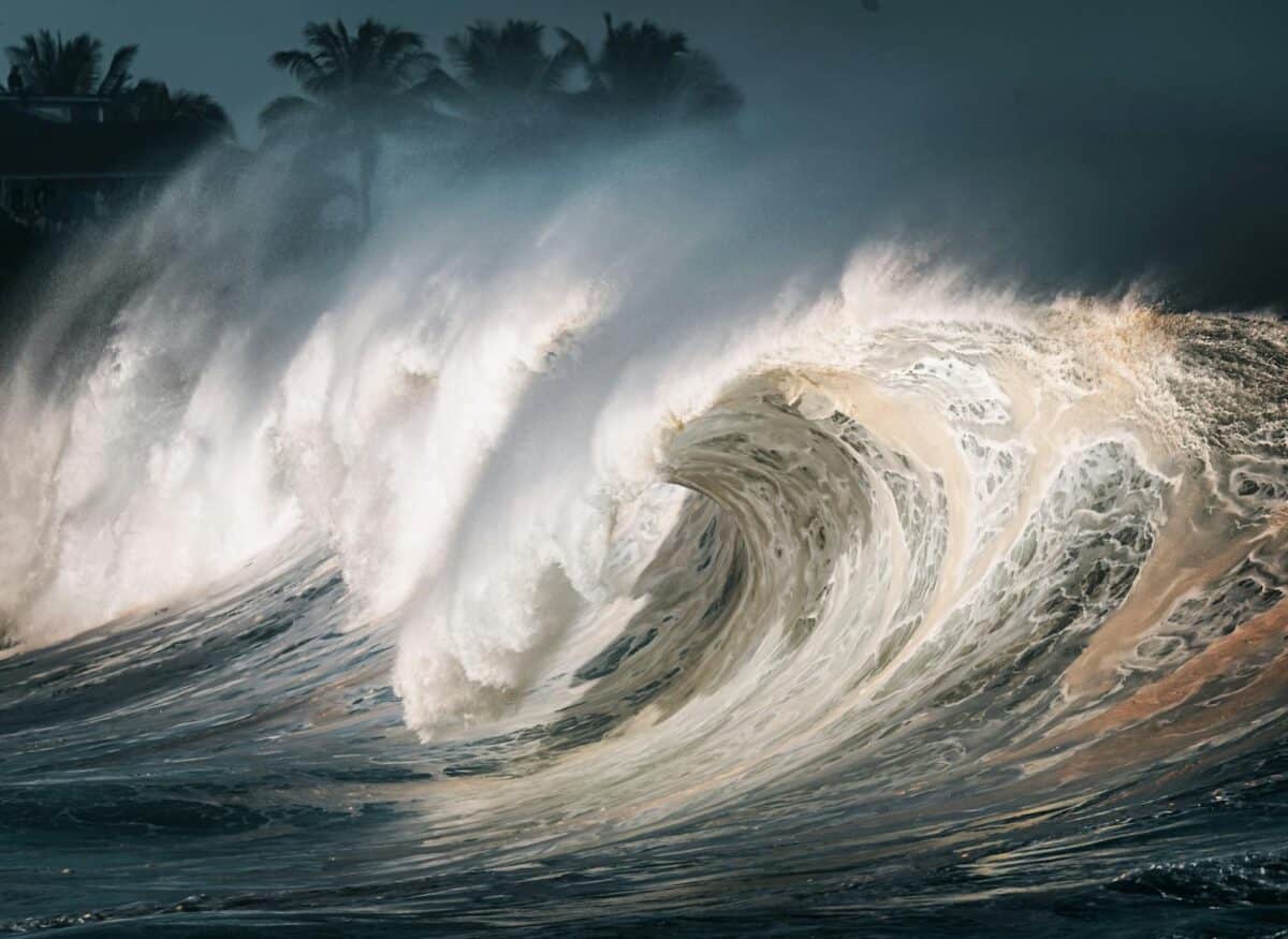 Image captivante de vagues océaniques massives se brisant sur le rivage, créant une scène dramatique.