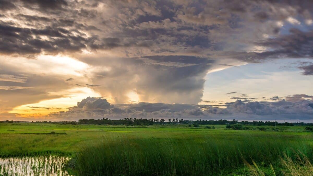 champ, rural, le coucher du soleil, lumière du soleil, herbe, Prairie, paysage, en plein air, la nature, environnement, ciel, nuageux, des nuages, ouragan, crépuscule, soir, environnement, environnement, ouragan, ouragan, ouragan, ouragan, ouragan