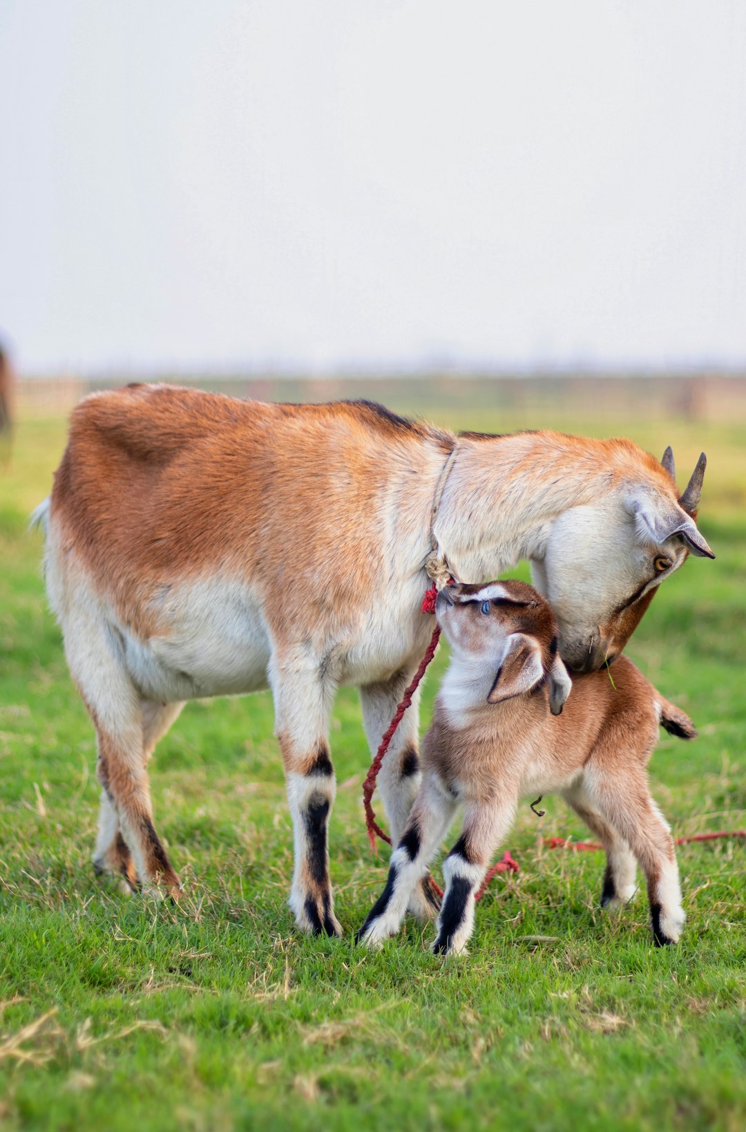 Conclusion (crédits image : unsplash)