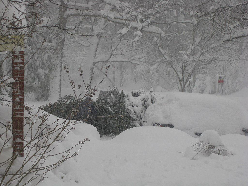 5 et 6 février 2010 Blizzard nord-américain à Washington, DC