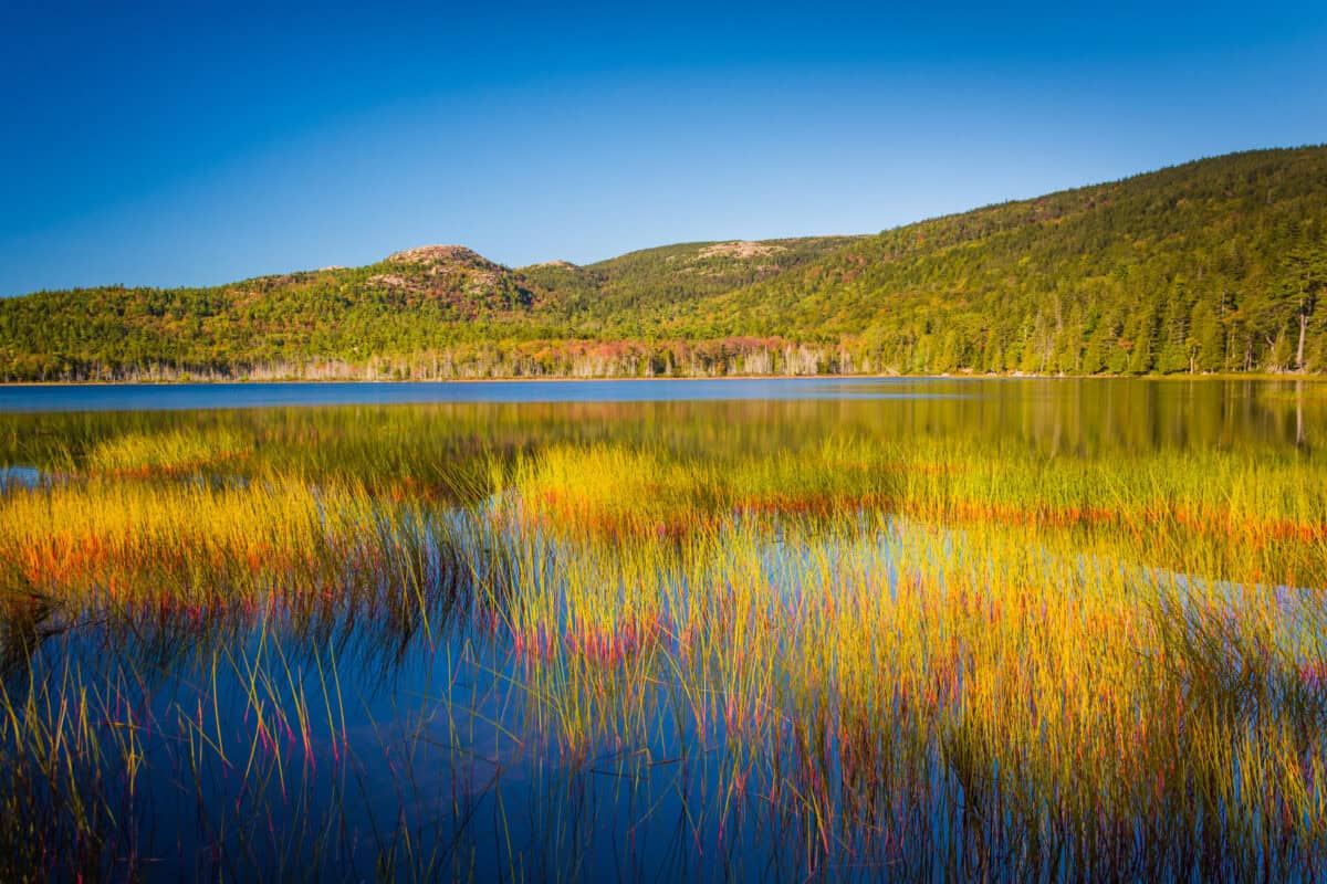 Parc national de l'Acadie